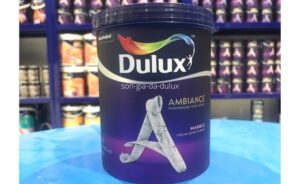 Nên Dùng Sơn Gì Cho Ngôi Nhà Của Bạn Tháng 11-2025